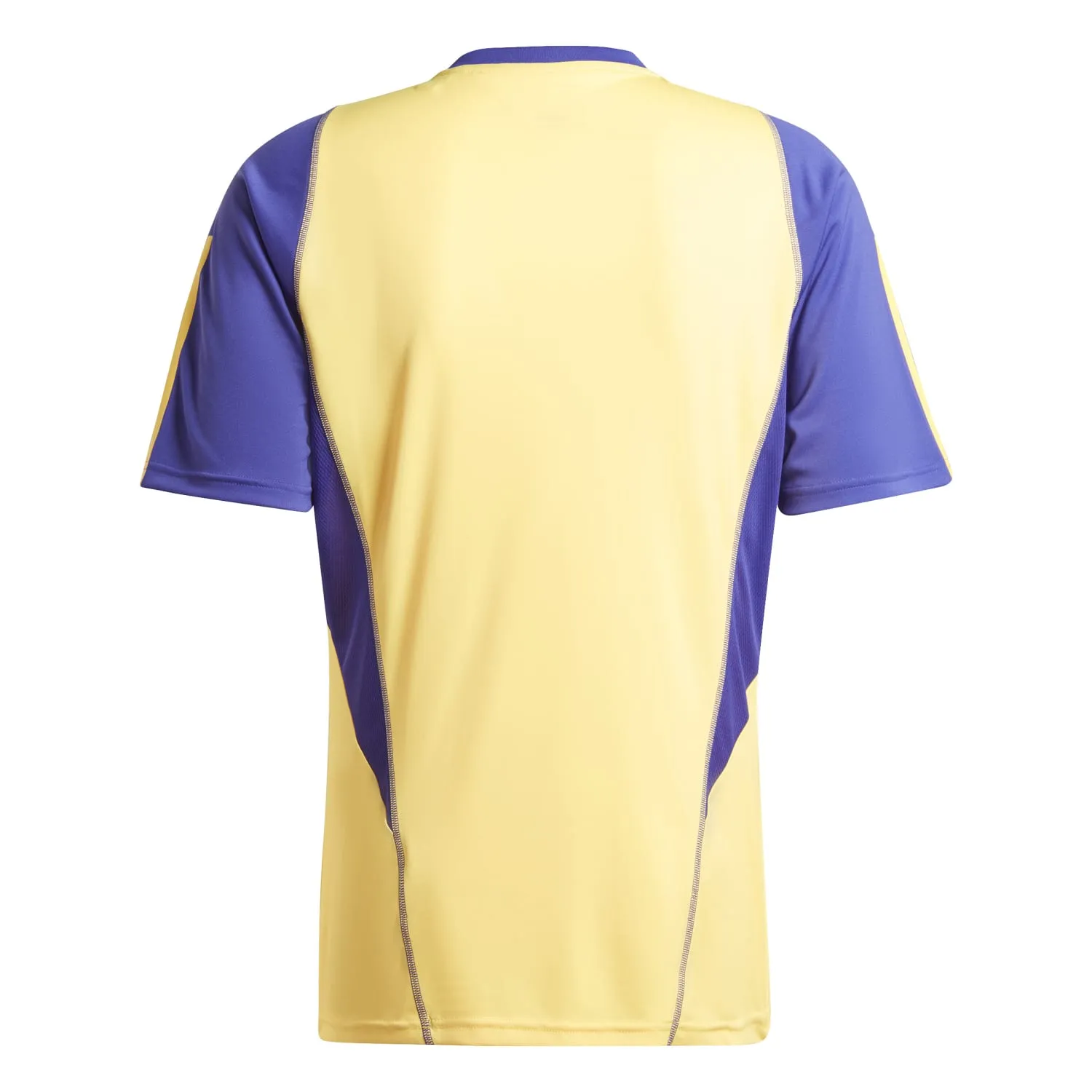 Camiseta Hombre Entrenamiento Amarilla 23/24