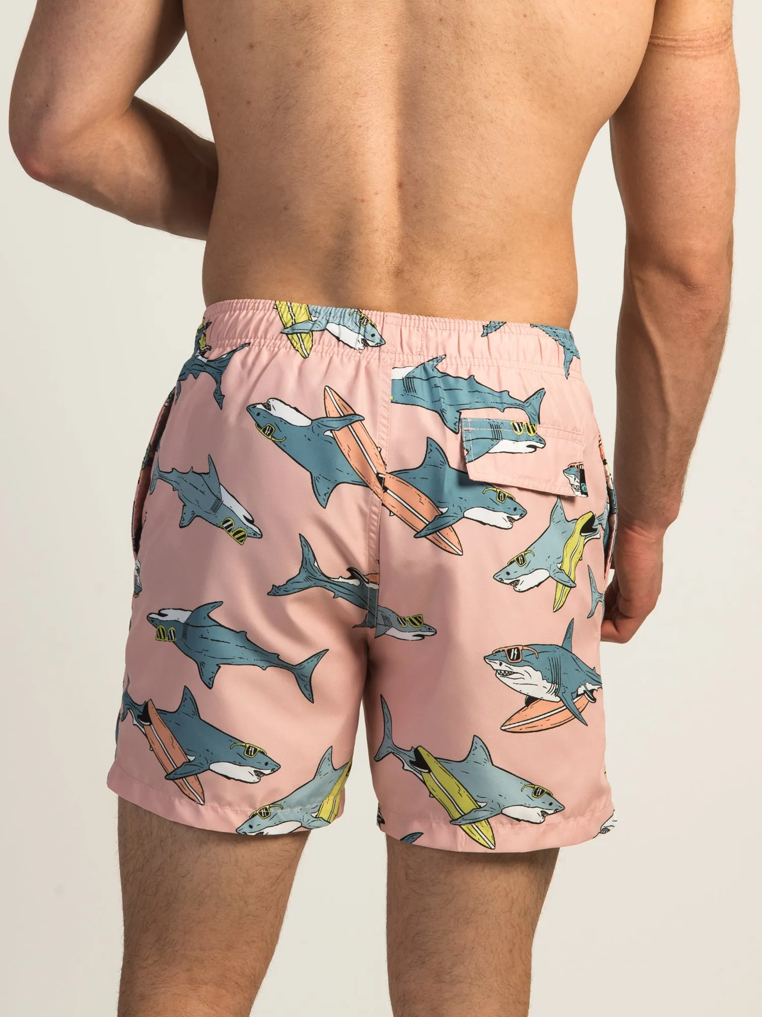 ISLAND HAZE SURFING SHARK 5 VOLLEY SHORT